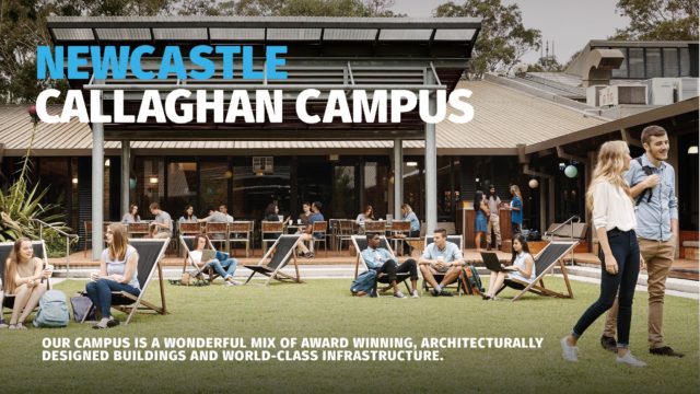 Two-Degree Program 4+0: Newcastle Callaghan Campus.