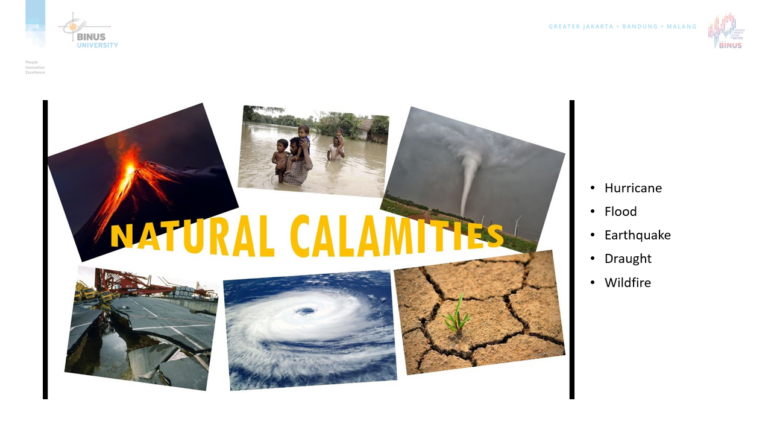 Creating Crisis Management Strategies for different crisis situations